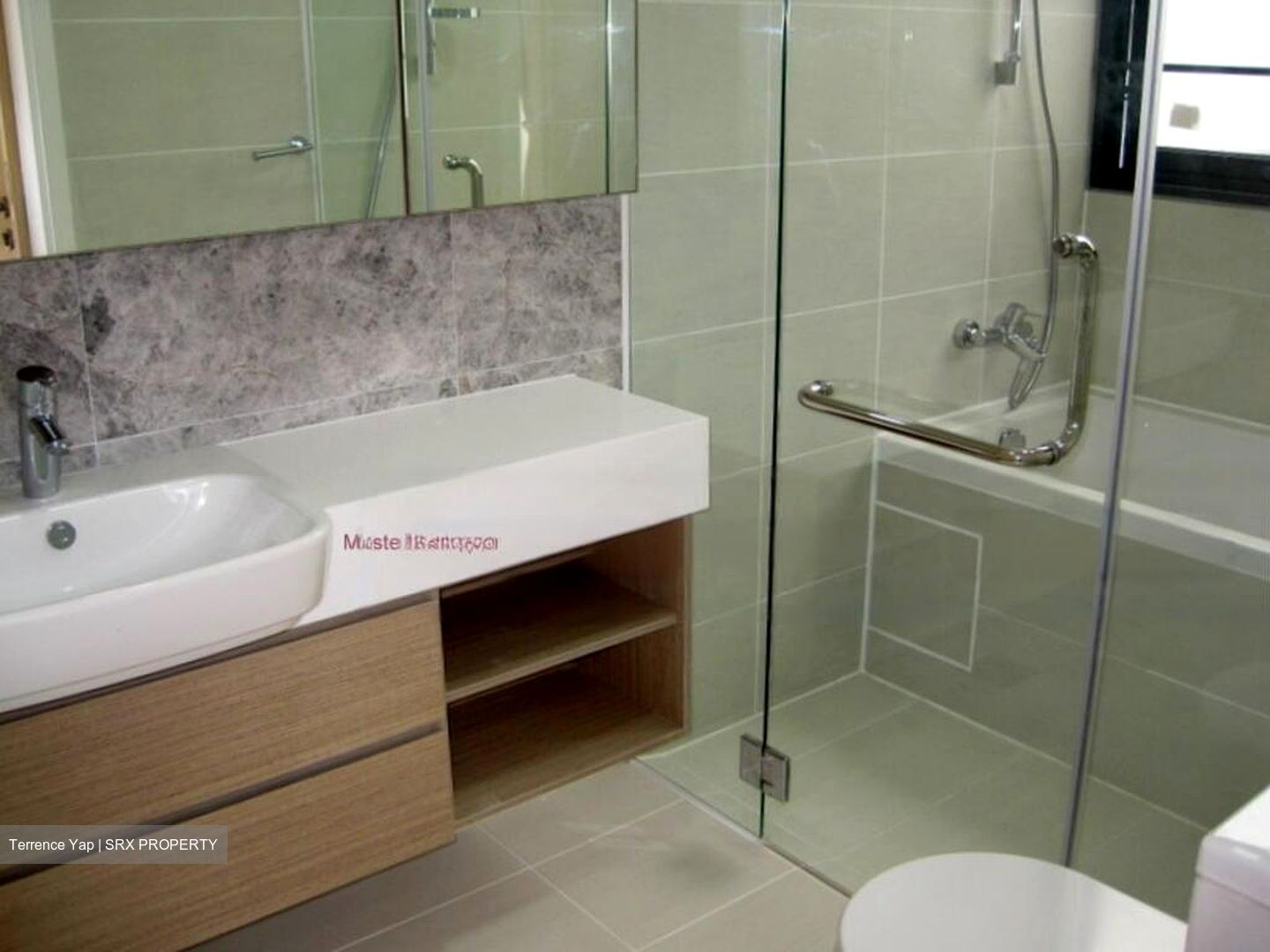The Lakefront Residences (D22), Condominium #490536771